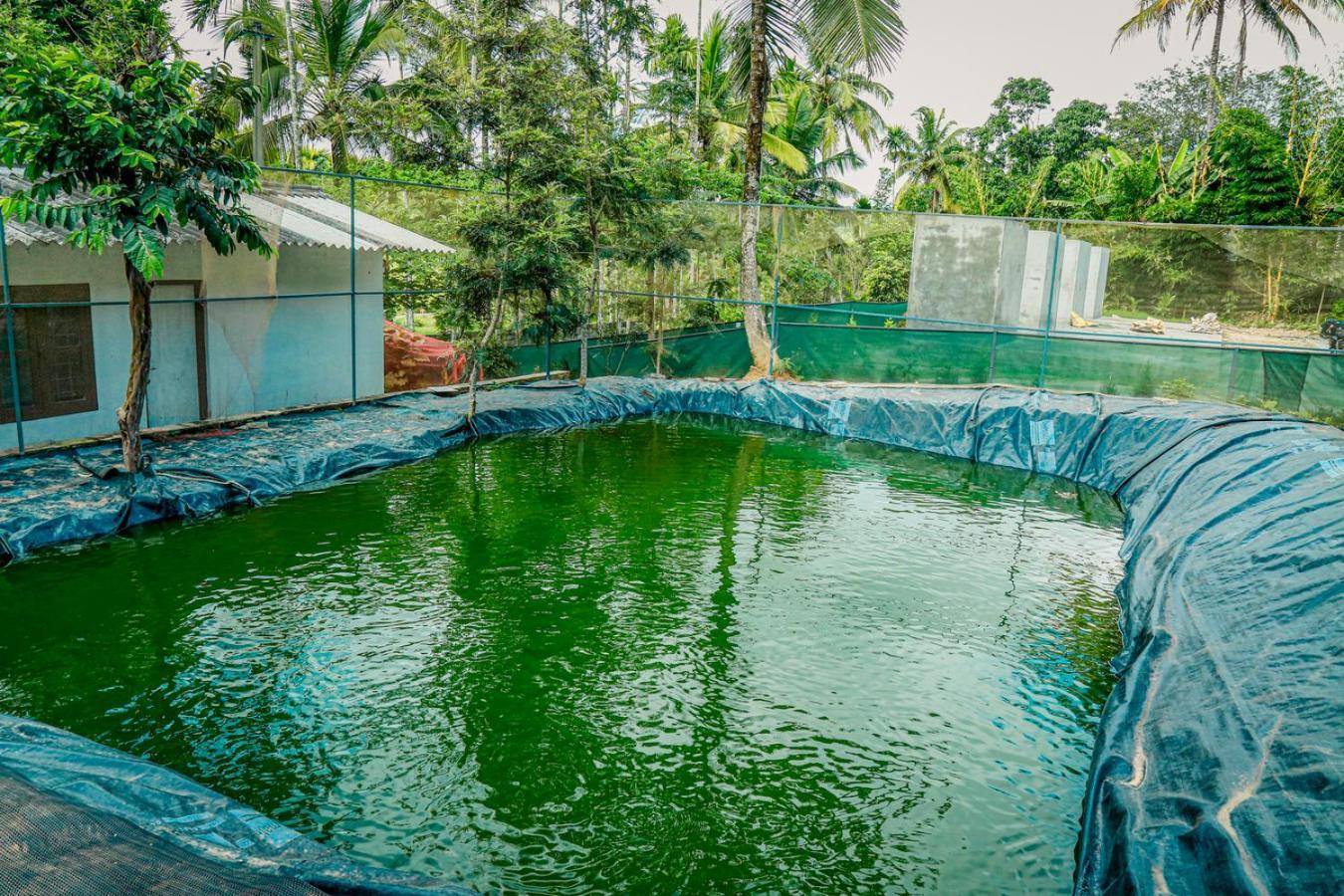 Green Aura Private Villas Sultan Bathery Extérieur photo