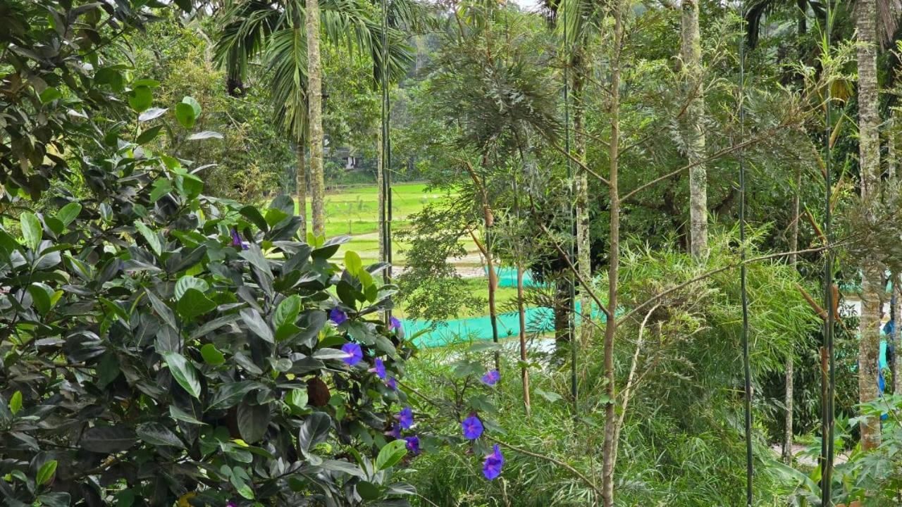 Green Aura Private Villas Sultan Bathery Extérieur photo