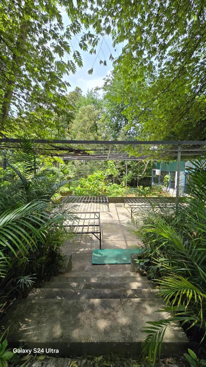 Green Aura Private Villas Sultan Bathery Extérieur photo
